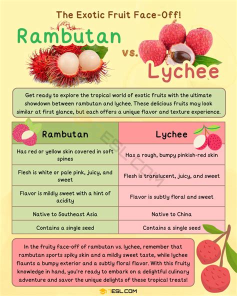 Rambutan vs. Lychee: Confusing Fruit Terms • 7ESL