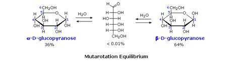 Anomeric Forms of Glucose - Chemistry LibreTexts