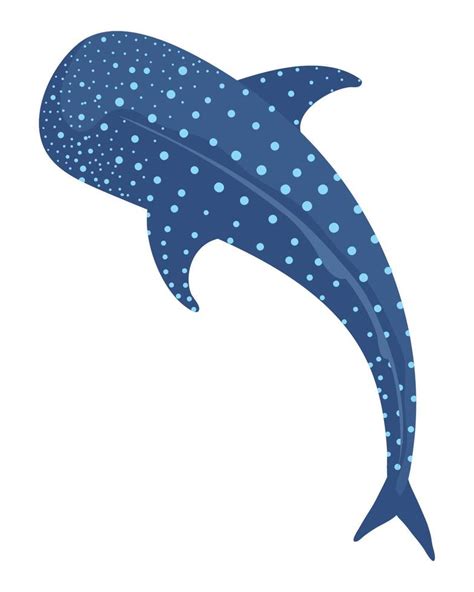 whale shark fish 10849042 Vector Art at Vecteezy