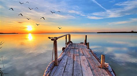 Online crop | HD wallpaper: water, nature, dock, mist, wood, lake, pier ...