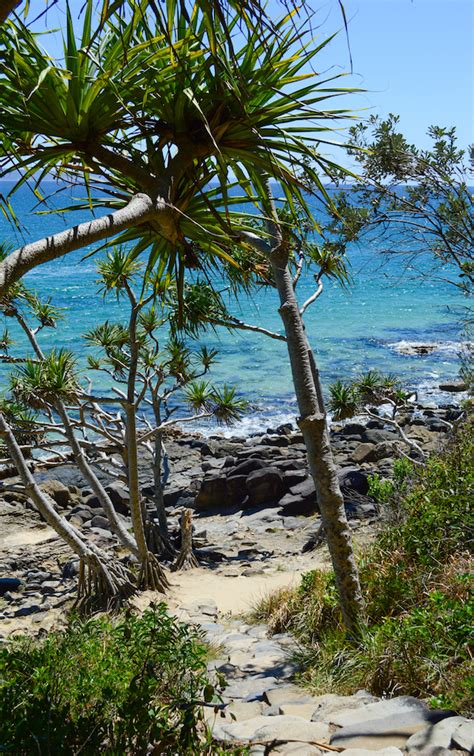 A Visit to Noosa National Park – The Wanderbug