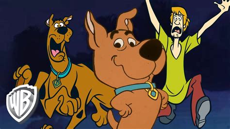 Scooby Doo And Scrappy Doo