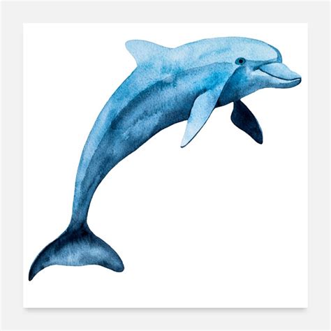 Shop Dolphin Posters online | Spreadshirt