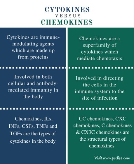 Difference Between Cytokines and Chemokines | Structure, Types, Function