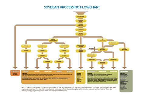 Soybean Flowchart