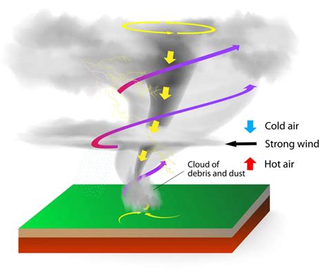 Make a Tornado | Center for Science Education