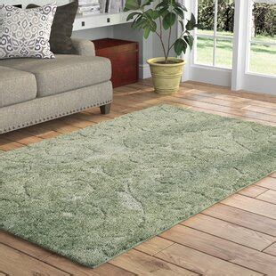 Sage Green Area Rug 5x7 | Wayfair