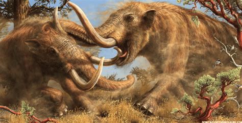 A Mastodon asserts his dominance : r/Naturewasmetal