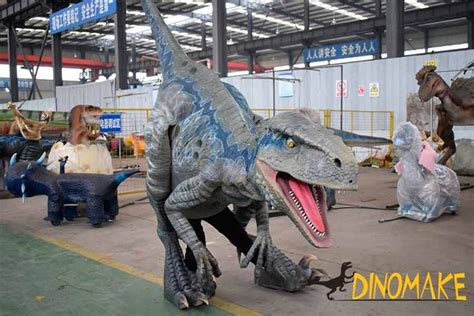 Velociraptor Blue Costume Classical Type - DINOMAKE | Blue costumes, Velociraptor, Dinosaur images