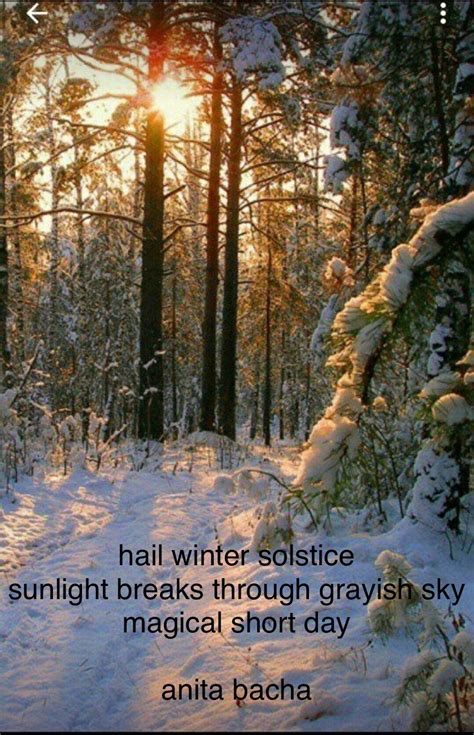 Hail Winter Solstice – Haiku Poem by Anita Bacha – Anita Bacha