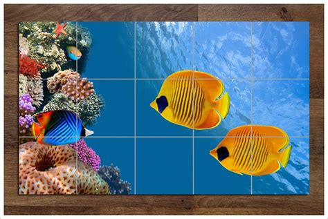 Coral Reef - Tile Mural | Mural, Animal wallpaper, Photography basics