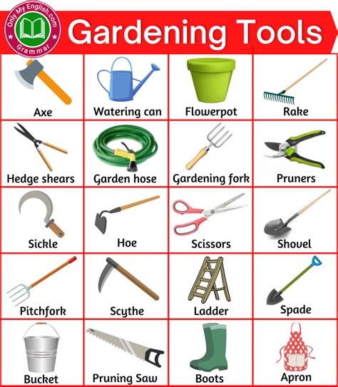 Best Gardening Tools Names with Pictures | Gardening tools names, Learn ...