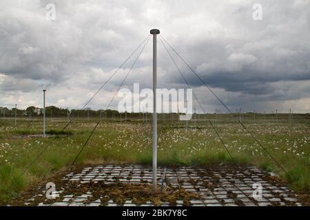 LOFAR radio telescope antennas. This is an array of low-band antennas for the LOFAR (Low ...