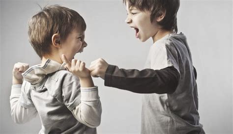 5 Tips To Deal With Aggression in Children - lifeberrys.com