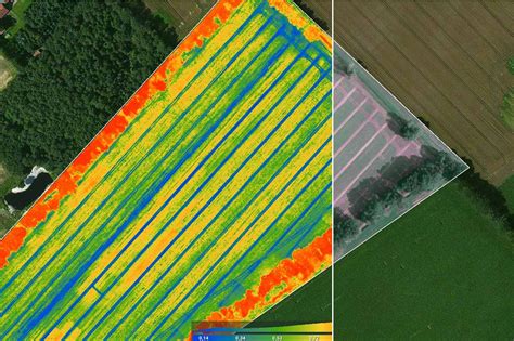 Internet of Fields: Drones & variable rate application | Pix4D