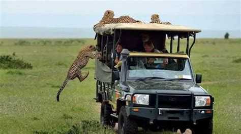 Masai Mara National Reserve Activities | Maasai Mara National Park