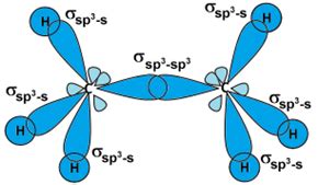 1.3: Hybridization of orbitals and 3D structures of simple organic compounds - Chemistry LibreTexts