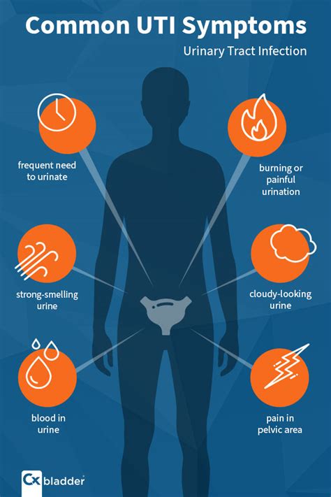 Can Recurrent UTI Symptoms Be a Sign of Cancer? | Cxbladder