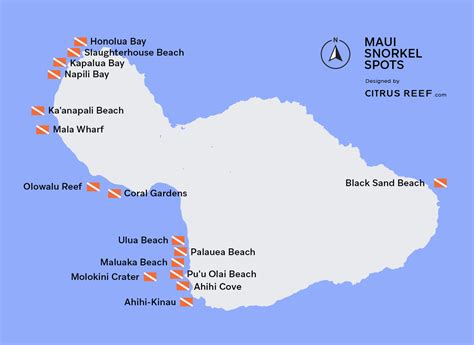 Best Maui Snorkeling: Top 16 Spots | Citrus Reef