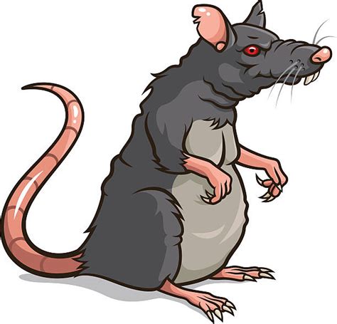 Cartoon Of The Rat Art Illustrations, Royalty-Free Vector Graphics ...