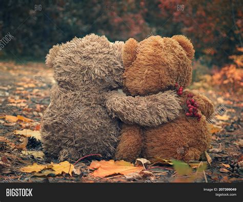 Two Teddy Bear Hugging Image & Photo (Free Trial) | Bigstock