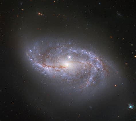 Barred Spiral Galaxy NGC 2608, Surrounded by Many Many Other Galaxies - Universe Today