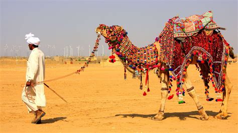 Desert Festival in Rajasthan - Rajasthani Tadka