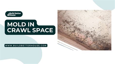 Mold in Crawl Space: Effective Solutions and Prevention Tips - Build Better House