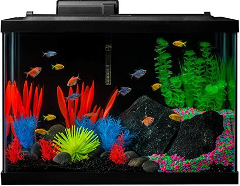 Best 20 Gallon Aquarium Starter Kits 2021 - Rob Aquatics