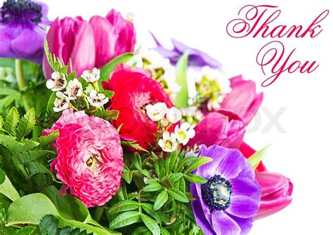 Thank you. colorful flowers bouquet. ... | Stock image | Colourbox