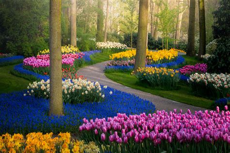 Photographer Captures The Keukenhof Tulip Gardens Empty For The First Time In 71 Years (31 Pics ...