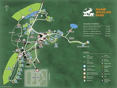 Maine Wildlife Park: Maine Dept of Inland Fisheries and Wildlife