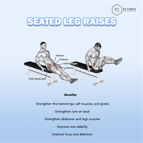 5 Benefits of Seated Leg Raises - R3 Fitness