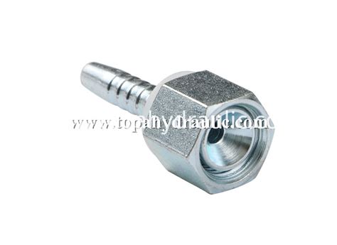 China 3 4 inch threaded brass hose pipe connectors Manufacture and Factory | Topa