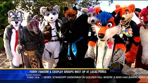 Furry Fandom & Cosplay groups meet up at local parks - CBS News 8 - San Diego, CA News Station ...