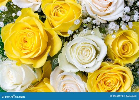 Bouquet Of Yellow And White Roses Stock Images - Image: 35650974