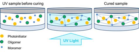 Rotational rheology combined with a UV light curing system | Anton Paar ...