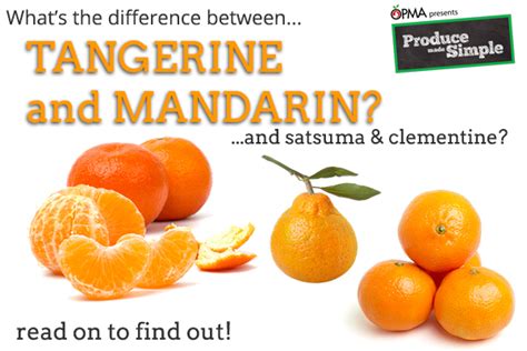 The Difference between Oranges, Mandarins, Tangerines, Satsumas and Clementines - Produce Made ...