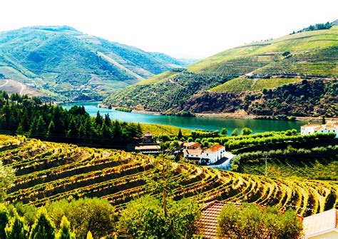 In Vino Viajas : Vale do Douro, Portugal, é sugestão dupla de turismo para 2014: da revista e ...