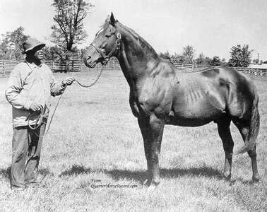 Man o' War (horse) - American Classic Pedigrees