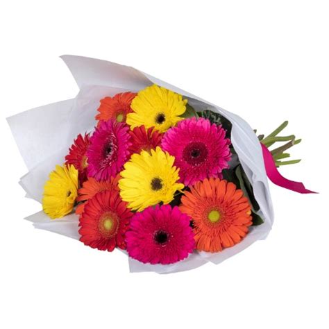 Colourful Gerbera Bouquet | Lillypad Flowers | Melbourne Delivery