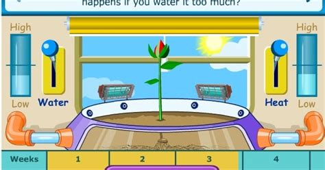 Warren Sparrow: Learn about how plants grow Interactive