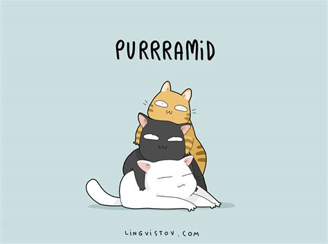 8 Adorable Puns Only Cat Owners Will Recognize