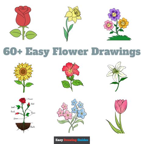 Simple Drawings Of Flowers Step By Step