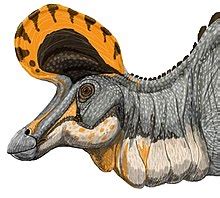 Lambeosaurus - Wikipedia