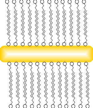 Gold Nanorods Properties, Applications, and Products - Nanopartz™