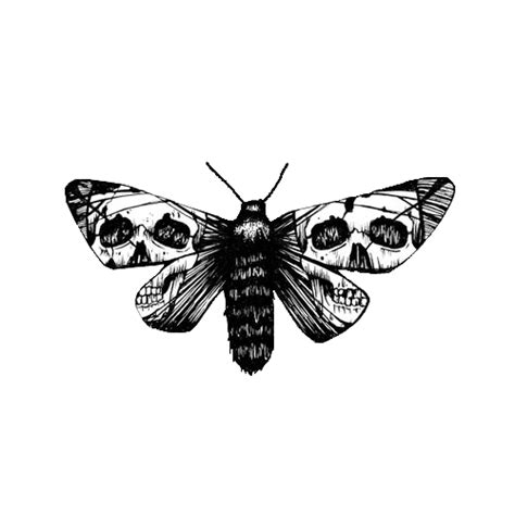 skull moth tattoo design - Most Personal Website Image Library