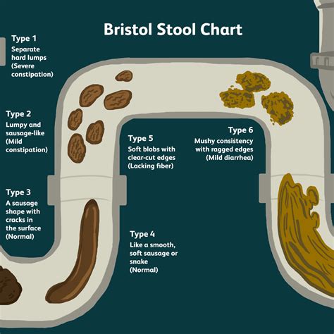 Bristol Stool Chart Meaning