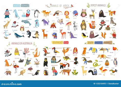 Cartoon Animals and Birds of Different Continents Stock Vector - Illustration of america ...