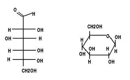 Basic Carbohydrate Chemical Structure